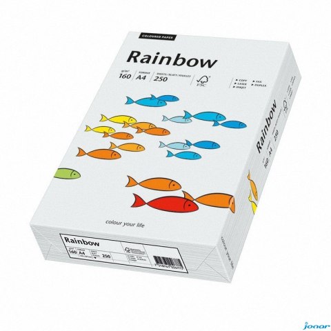 Papier xero kolorowy A4 160g j.szary R93 RAINBOW 88042791/84 (X)
