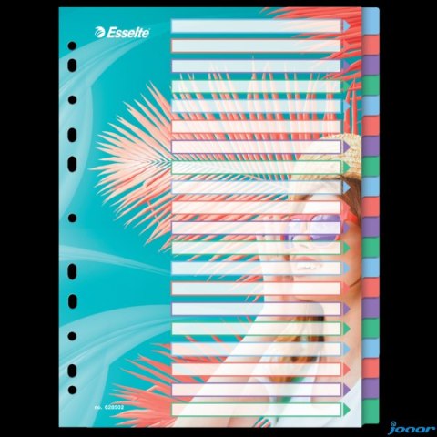 Przekładki ColourBreeze PP A4, 20 przekładek Esselte 628502