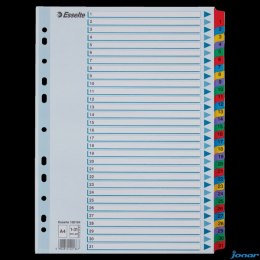 Przekładki kartonowe MYLAR A4 1-31 100164 białe ESSELTE