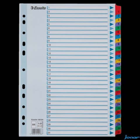 Przekładki kartonowe MYLAR A4 1-31 100164 białe ESSELTE
