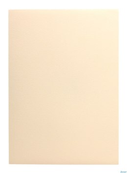 Karton wizytówkowy A4 W19 tłoczony (20 arkuszy) 246g KRESKA SALE