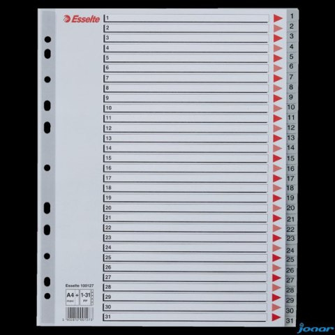 Przekładki plastikowe szare PP alfabetyczne A4 Esselte, 1-31 maxi, , 100127
