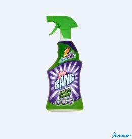 CILLIT BANG Płyn do czyszczenia w sprayu 750ml tłuszcz i smugi 16051