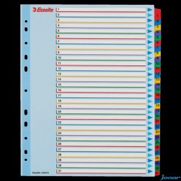 Przekładki kartonowe MYLAR A4 MAXI 1-31 ESSELTE 100210