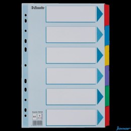 Przekładki, kolorowy karton, karta opisowa Mylar A4, Esselte, 6 kart, , 100168 (X)