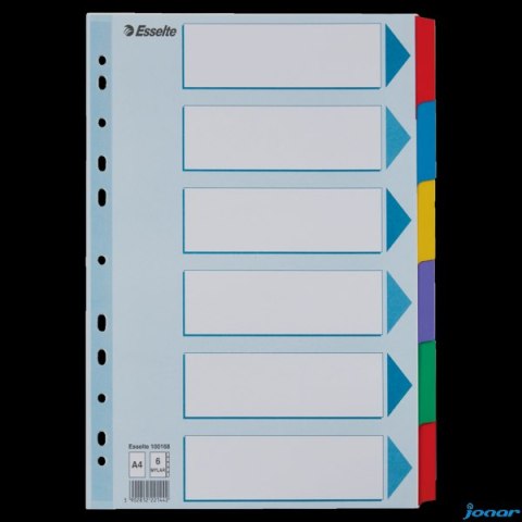 Przekładki, kolorowy karton, karta opisowa Mylar A4, Esselte, 6 kart, , 100168 (X)