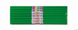 Bibuła marszczona 50x200cm, zielony, 10 szt., HAPPY COLOR, HA 5020-5