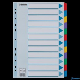Przekładki, kolorowy karton, karta opisowa Mylar A4, Esselte, 12 kart, , 100169